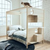 Nhật Bản ra mắt giường ngủ dành cho cả chủ nuôi và mèo